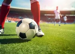 微观视角下,的存量资产,激活,开云体育,开云体育官网,开云体育app,开云体育平台,KAIYUN,SPORTS,kaiyun登录入口