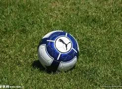 开云体育娱,安全,资讯,开云体育,开云体育官网,开云体育app,开云体育平台,KAIYUN,SPORTS,kaiyun登录入口