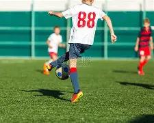 上海海港成,就三冠王荣,夺得,开云体育,开云体育官网,开云体育app,开云体育平台,KAIYUN,SPORTS,kaiyun登录入口