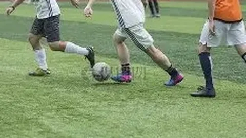 开云体育娱乐app安全 资讯 115909 zwt