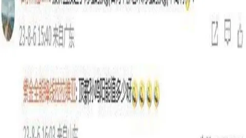 开云体育娱乐安全 124301 7
